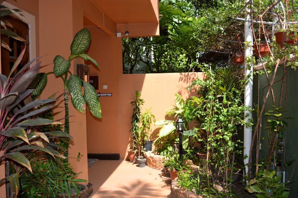מאלה Skai Lodge מראה חיצוני תמונה